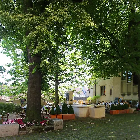 Hotel Brasserie Au Violon